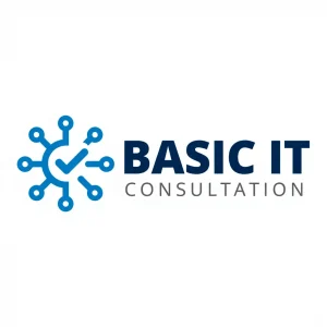 Basic IT Consultation